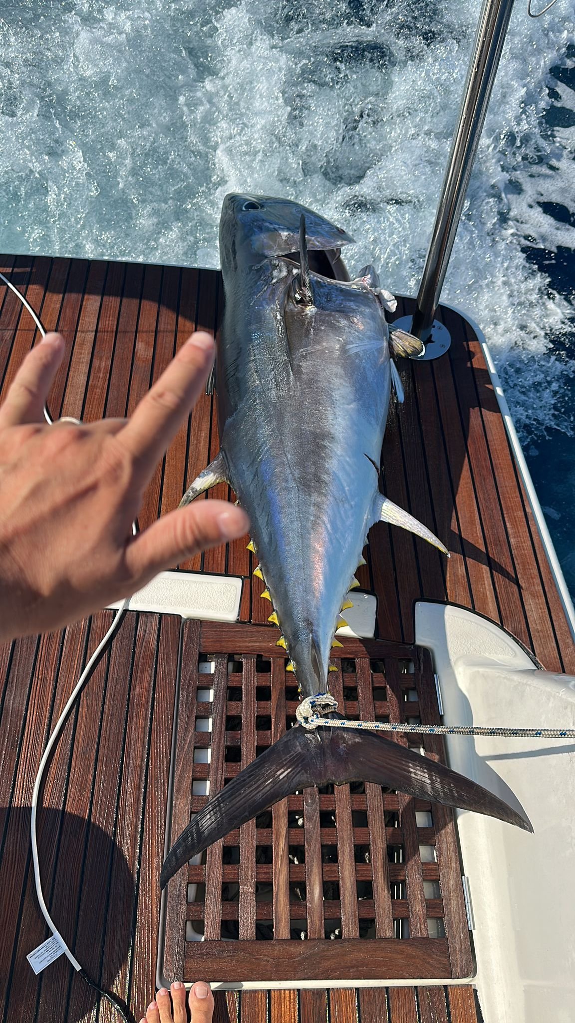 Borba s velikom ribom tijekom ribolova